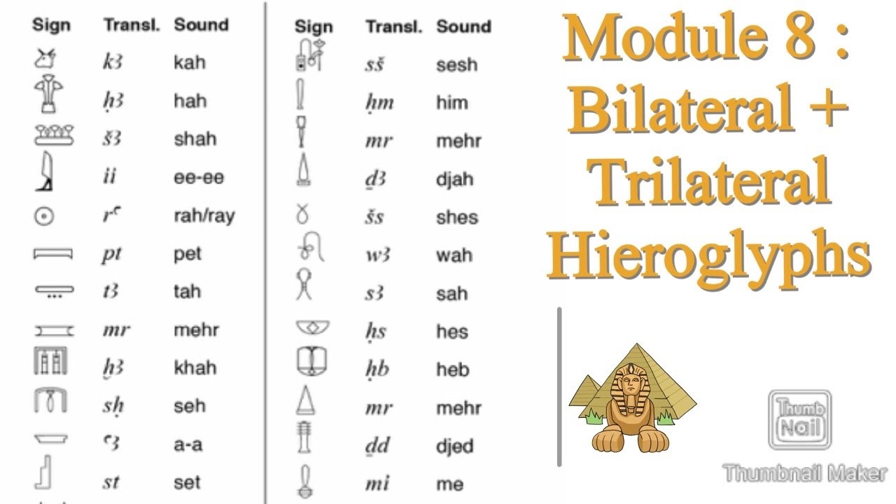 Bilateral + Trilateral - Module 22 of Hieroglyphic Course  Ancient Egyptian  Writing System #Egypt