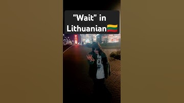 This is how "Wait" sounds in Lithuanian 🤣🇱🇹 #lithuaniaviral #lithuania #viral #wait #meme #funny