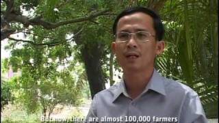 SRI Farming in Cambodia (pt1)