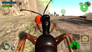 Ant simulator 3d Needle ant