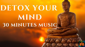 Music to Detox Your Mind & Increase Serotonin Levels