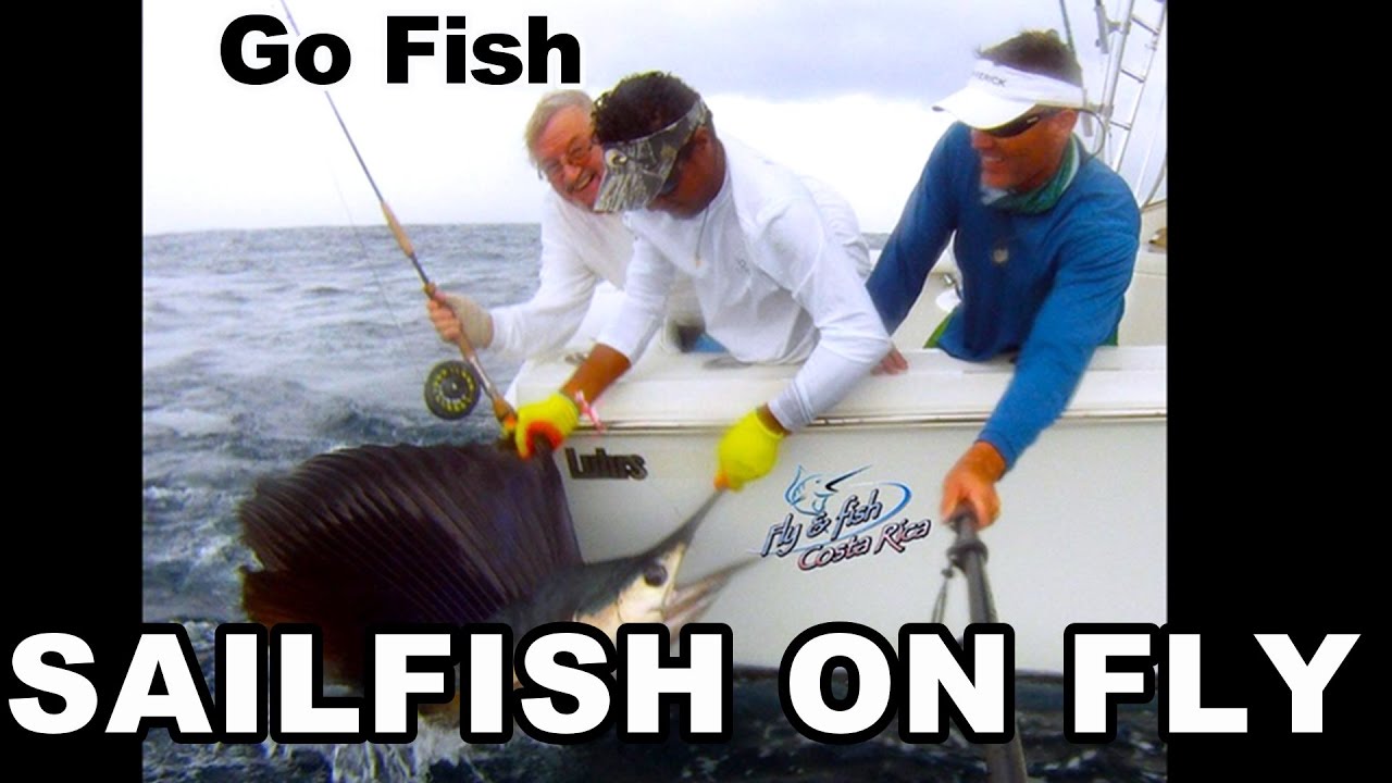 Fly Fishing: Sailfish On Fly Costa Rica Fishing | Fly and Fish TV