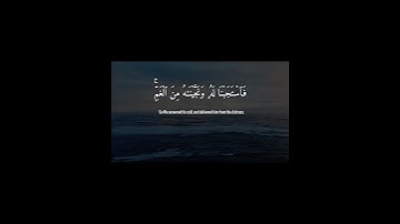 سورة الأنبياء [ ٨٧ ــ ٨٨ ] #القرآن_الكريم #ماهر_المعيقلي #quran #قران