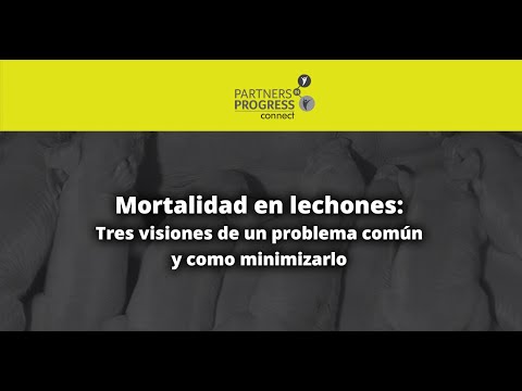 Vídeo: Se Ha Recopilado Una Clasificación De Las Causas De La Mortalidad Humana - Vista Alternativa