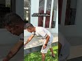 Mengusir Kecoa, semut, lalat, nyamuk, tomcat, cicak dll. Bisa disemprotkan langsung ke serangga