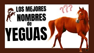 Los MEJORES NOMBRES PARA YEGUAS Caballos Hembras Blancas,Negras,De Carreras