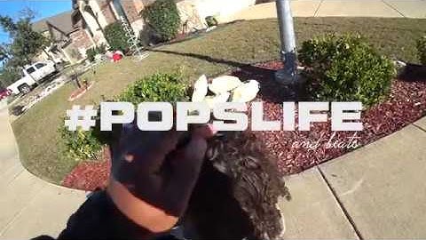 PopsLife Ep.  1 - "Cruising" [Korg Gadget beat via iPad Pro x Sony FDR-X300]