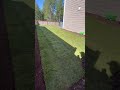 Sod Install