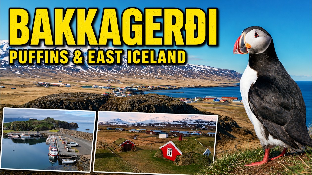 Bakkagerði: Puffins, Elves & Coastal Trails in East Iceland | Icelandic Towns & Villages — Bakkagerði, Iceland — video poster