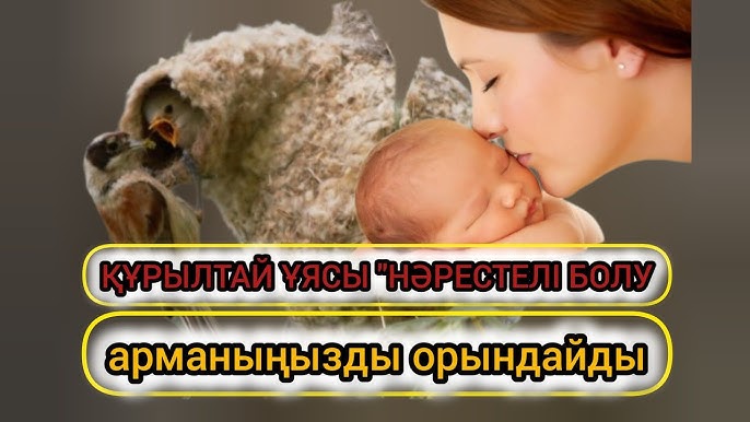 Лесби порно HD форматында