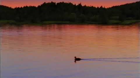 Once Upon A Time (All Versions) Part 151