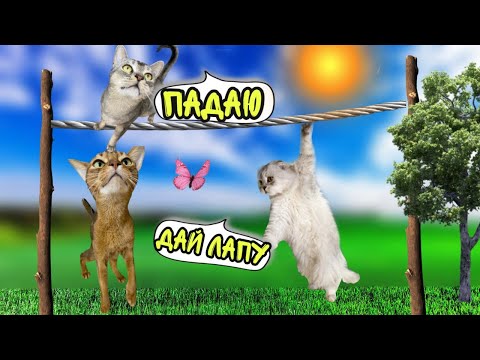 КАНАТНАЯ ДОРОГА ДЛЯ КОТОВ ЧЕЛЛЕНДЖ В ЛЕСУ