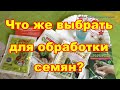 Что лучше для обработки семян эпин ,циркон ,оберег,проросток,иммуноцитофит?