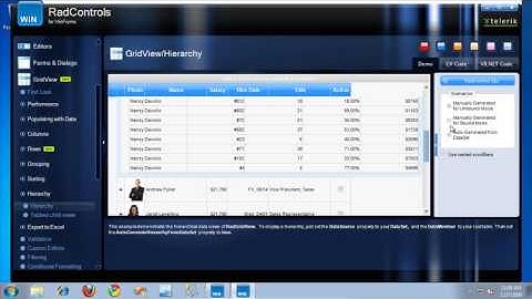 Q3 2009 RadGridView Features