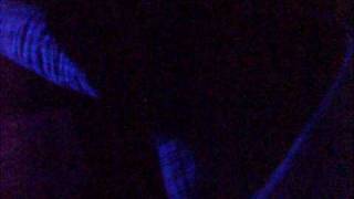 bossifunk \u0026 steve dumont @ puka naka