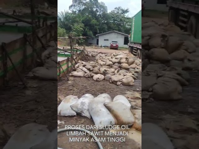 PROSES MEMBUAT MINYAK KELAPA SAWIT ASAM TINGGI DARI BAHAN MENTAH BERUPA SELAT/SLUDGE OIL MINYAK BEKU class=