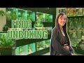 Getting a Pacman Frog! | BIOACTIVE tank setup, haul, and unboxing!