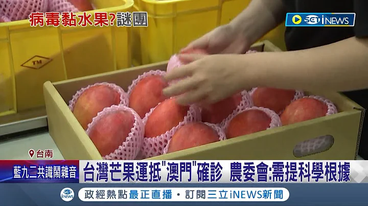 台湾的芒果"被确诊"? 澳门官方称从台湾进口的芒果验出新冠病毒 上百公斤芒果已全数销毁｜记者 王绍宇 朱俊杰 翁郁雯｜【台湾要闻】20220701｜三立iNEWS - 天天要闻