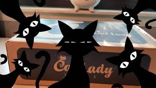 Crazy Cat Lady Box October 2020 by DamaskCats 160 views 3 years ago 9 minutes, 44 seconds