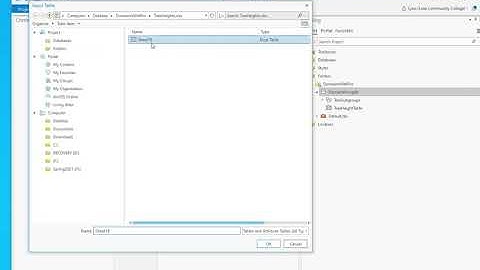 ArcGIS Pro Quick Domains