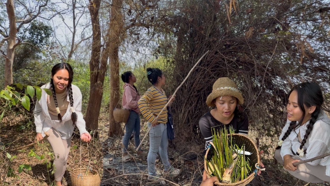 ແລ້ວງານແຕ່ງພາກັນເຂົ້າປ່າຫາໜໍ່ໄມ້🇱🇦แล้วงานแต่งพากันเข้าป่าหาหน่อไม้