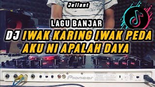 DJ IWAK KARING IWAK PEDA, AKU NI APALAH DAYA  - DJ REMIX VIRAL TIKTOK TERBARU 2024