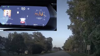 Celebrity Day 1175 Tesla Ruby Can She Read Speed Limit Signs? 2020.36 Review Wealth