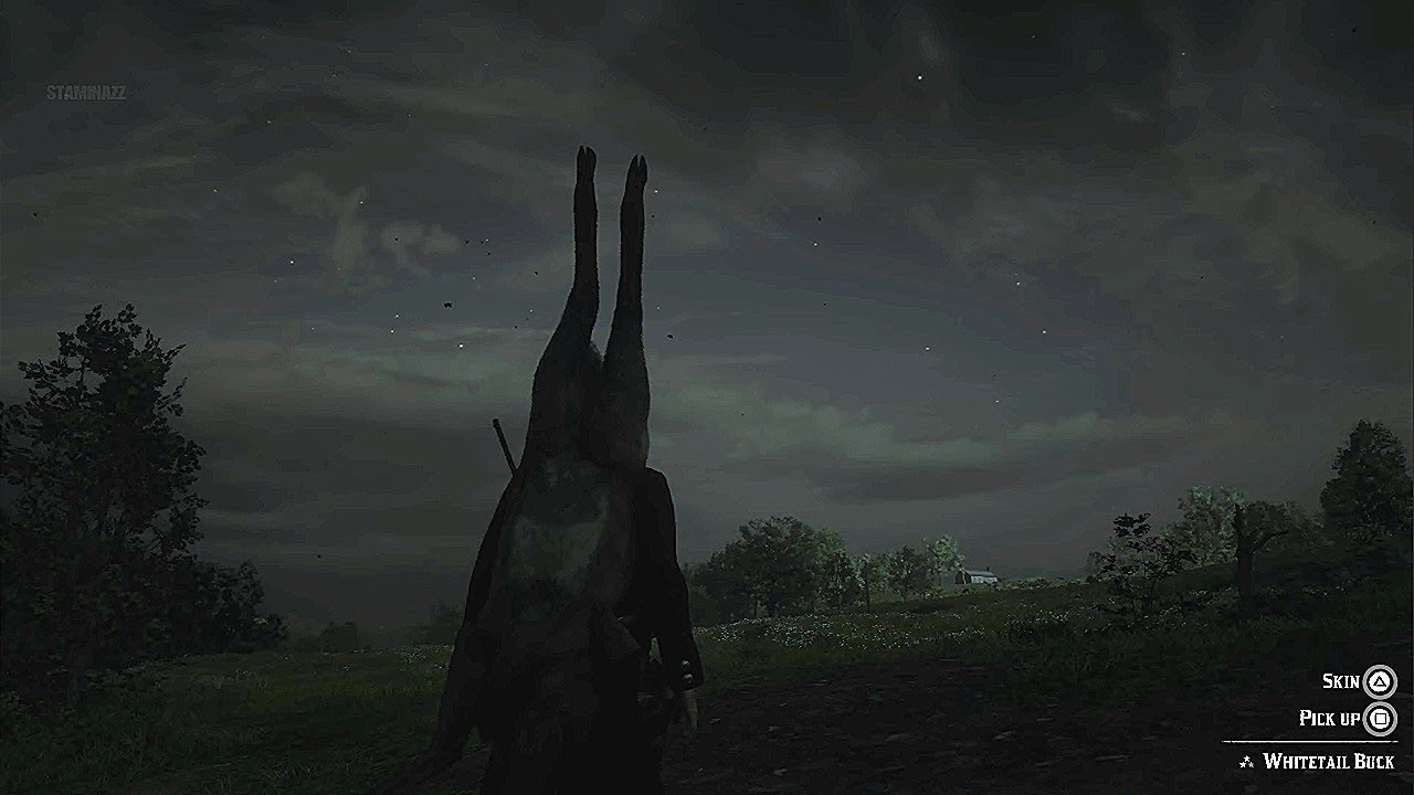 Meat Armor Glitch - RDR 2 - YouTube