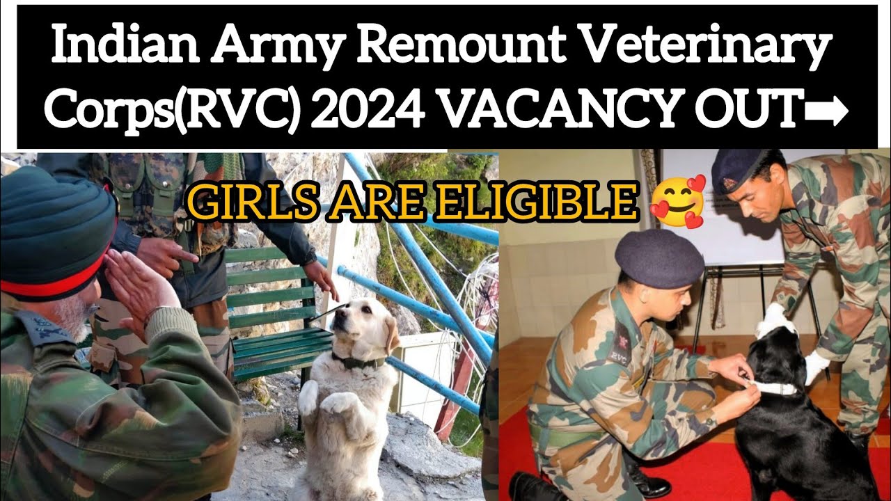 आर्मी RVC नर्सिंग असिस्टेंट permanent भर्ती | Indian Army Remount Veterinary Corps 2024 Notification