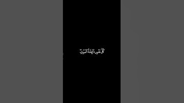 ما تيسر من سورة العنكبوت | القرآن الكريم | القارئ عبد الرحمان مسعد | كروما