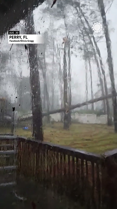 Dangerous Moment as Tree Falls Close to Florida Home | AccuWeather