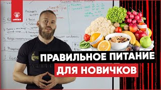 Правильное питание для новичков. Основы диетологии. БЖУ, формулы, ПП