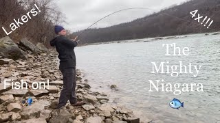 4 FISH DAY!!! Niagara River Trout Fishing 7