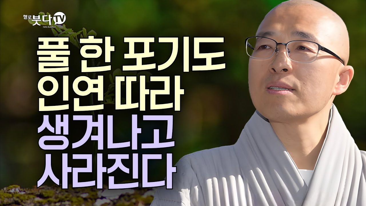 풀 한 포기도 인연 따라 생겨나고 사라진다 | 법상스님의 영가현각 증도가 101회(51_1)