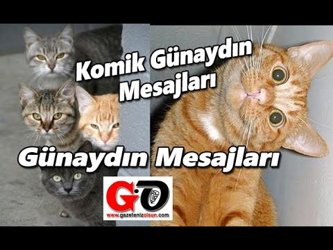 Komik Günaydın Mesajları , Günaydın Mesajları , Mutlu Pazarlar , En güzel Günaydın Mesajları