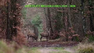 BILLEBAUDES ET AFFUTS 2019 2020