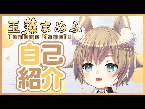 【自己紹介】はじめまして！玉藻まめふです！【新人Vtuber】