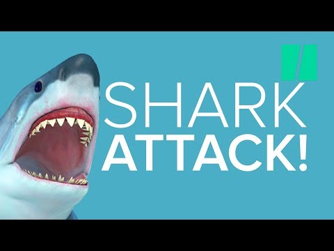 Najlepsze ataki rekinów w filmach | Mieszanka HuffPost