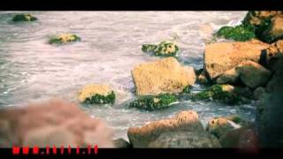 Video-Miniaturansicht von „عالشط - محمد وديمة بشار | طيور الجنة“
