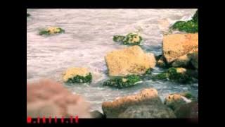 عالشط - محمد وديمة بشار | طيور الجنة
