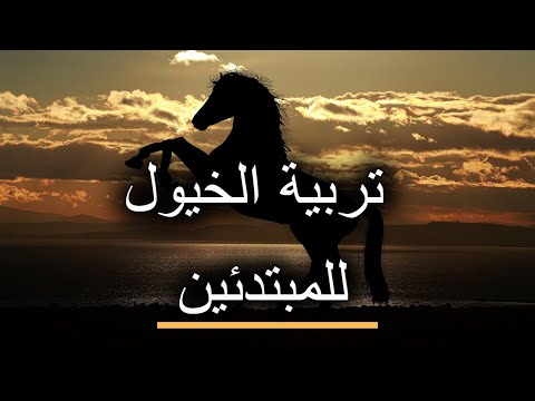 فيديو: نشر أشجار كستناء الحصان - تعرف على كيفية زراعة كستناء الحصان الجديد