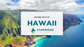 Moving Pets to Hawaii | Starwood Pet Travel