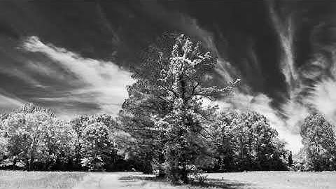 Infrared Photography and Processing