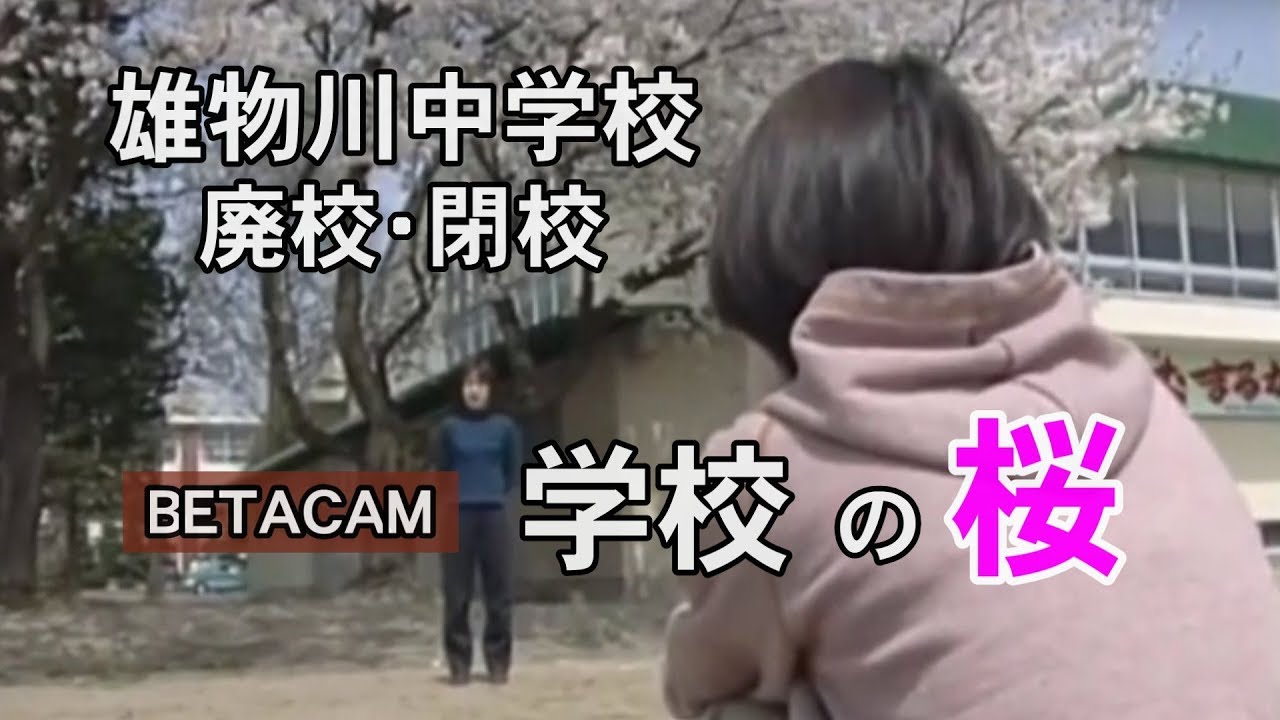 【廃校・閉校】雄物川中学校の桜（閉校記念）