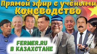 Особенности Казахских Пород Лошадей. Коневодство Выгоднее Овцеводства? Мугалжарская Порода.конецентр