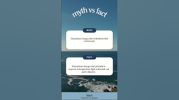 MythBusters Central: Unveiling Truths Behind Common Myths #shorts #primary #elementary #science