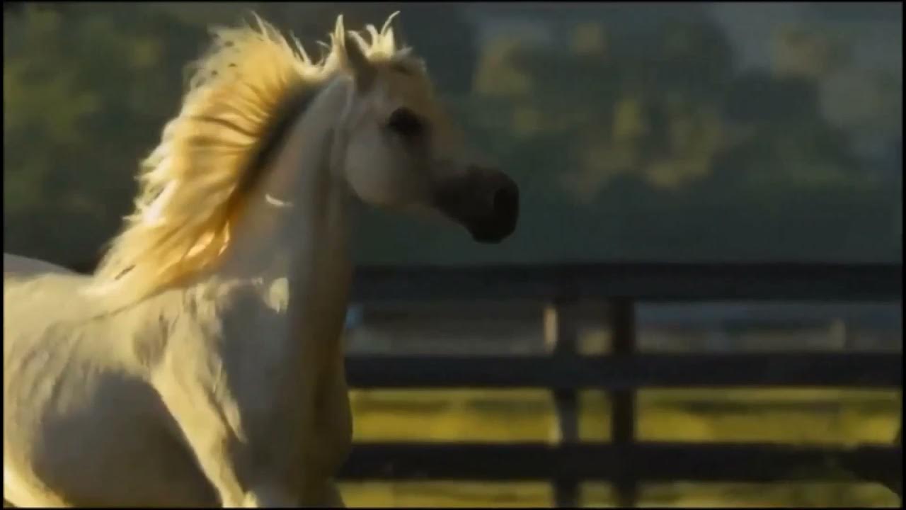 Песня коню быстро