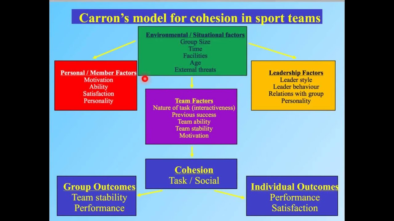 team cohesion theories