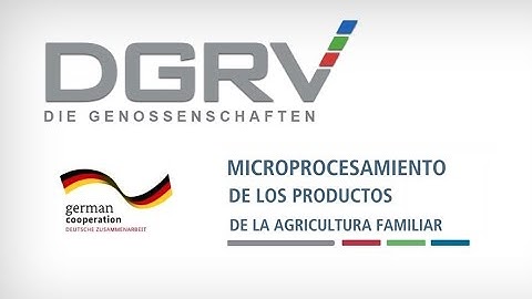 Testimonial de cierre: MicroProcesamiento - DGRV Coopsur 2019-2021