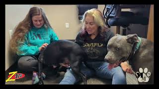 Rock Around the Region with Samantha Knight - Ruby PUPdate